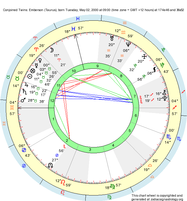 astrology compatibility birth chart astro twins